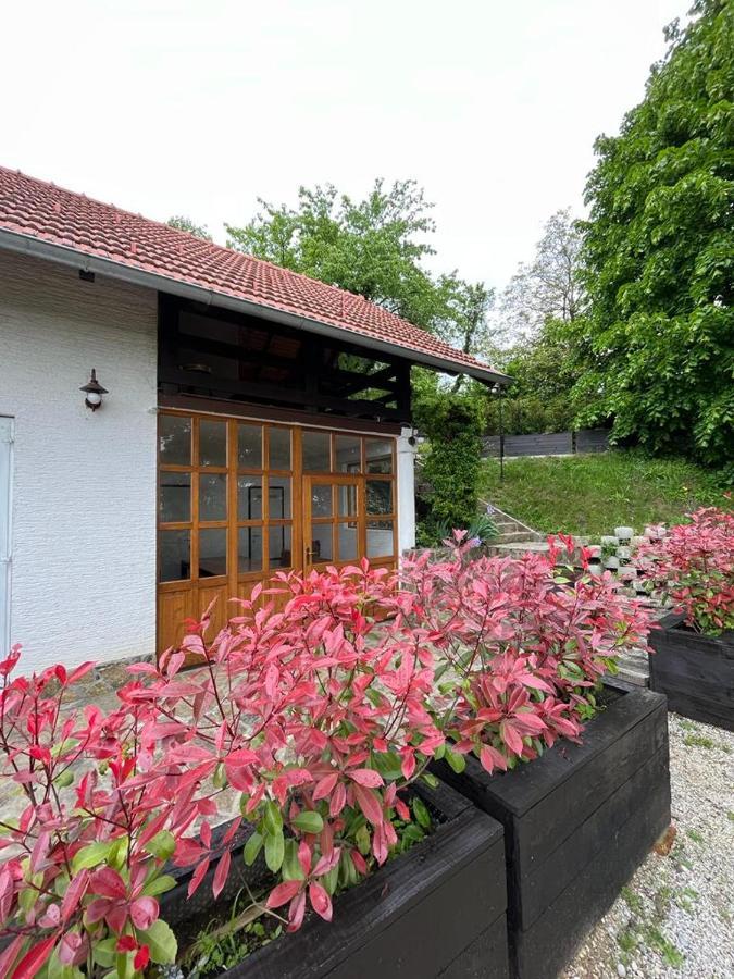 Cesargradska Klet Apartment Tuhelj Exterior foto
